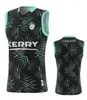 NOVO 23 24 24 Gaa Rugby Jersey Leisure Sports Vest 2023 2024 All Team Kerry Mayo Limerick Galway Dublin Down Cork Clare Cavan Antrim Singlet Jerseys