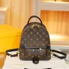 Palm Springs Mens Mini Backpack Luxury Men Packpack Protcers Prots Protcts Progh Provesss Women Hands Handbag Luxurys Luxurys Luxurys