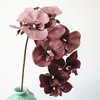 Flores decorativas 10pcsEuropean 10 Phalaenopsis Home Mall Ornamento Boda Pografía Hecho a mano DIY