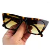 Occhiali da sole in acetato Cat Eye per donna Designer Vintage Sun Shades Female UV400 Eyewear Lentes De Sol Mujer