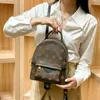 Palm Springs Herren-Mini-Rucksack, luxuriöser Herren-Rucksack, Designer-Leder-Büchertasche, Reiserucksäcke, Damen-Geldbörsen, Designer-Frau-Handtasche, Luxurys-Handtaschen