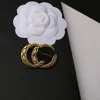 Famous Design Luxury Designer Brooch Women Letter Retro Style Brooches Suit Pin Gold Plated Fashion Jewelry Clothing Decoration Accessories