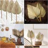 Couronnes De Fleurs Décoratives 8 Pcs Feuilles De Palmier Séchées Ventilateurs Lances De Bohème Plantes Artificielles Feuilles Tropicales Livraison De Goutte Décorative H Dhxhm