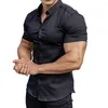 Camisas informales para hombre, camisa para hombre, camisetas de manga corta con solapa de verano, ropa de trabajo de negocios elástica antiarrugas con un solo pecho