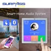 في السقف S Smart Home Audio 2 4 قناة Wireless Bluetooth Mini Amplifier 4 '' Screen FM Radio Aux TF وظيفة في الجدار 230706