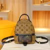 Palm Springs Mens Mini Backpack Luxury Men Packpack Protcers Prots Protcts Progh Provesss Women Hands Handbag Luxurys Luxurys Luxurys