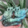 Natural Labradorite Lover Owl Sculpture Gift Random Style Transformation Quartz Crystal Animal Statue Carvings Unique Spectrolite Gemstone Family Bird Figurine