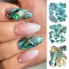 Glitter per unghie Conchiglia di abalone irregolare Nail art Glitter Fette di conchiglia di mare naturale Ciondoli per unghie Polvere di scaglie Paillettes lucide Design per manicure FBBY 230705