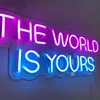 LED Led The World is Yours Signs Pink Custom Light Sign Hanging Neon Lights Words for Wall Bedroom HKD230706
