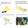 Harnais et laisse pour perroquet pour animaux de compagnie Conception d'entraînement réglable Corde en nylon anti-morsure d'oiseau avec aile mignonne pour perroquets Convient pour Scarlet Keck Mini Macaw