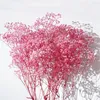 Decorative Flowers 100G Natural Dried Baby Breathing Flower Gypsophila Real Plants Wedding Decor Home Arrangement