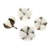 Hair Clips 15pcs 65MM Handmade Dry Wool Kapok Flower Craft Floral Button Patch Stickers For Girls Jewelry Headband Heads Elastic Band