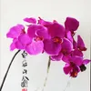 Flores decorativas 10pcsEuropean 10 Phalaenopsis Home Mall Ornamento Boda Pografía Hecho a mano DIY