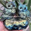 Natural Labradorite Lover Owl Sculpture Gift Random Style Transformation Quartz Crystal Animal Statue Carvings Unique Spectrolite Gemstone Family Bird Figurine