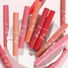 Brillo de labios Velvet Matte Nude Sexy Lápices labiales líquidos impermeables de larga duración Maquillaje rojo para mujeres Cosméticos de Corea