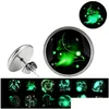 Stud Glow In The Dark 12 Boucles d'oreilles signe du zodiaque pour les femmes Verre Constellation Acier inoxydable Hypoallergénique Sier Boucles d'oreilles Mode Dr Dhm80