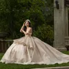 Ivory Shiny Ball Gown Quinceanera Dresses Prom Graduation Gowns Lace 3DFlower Princess Sweet 16 Dress vestidos de 15 anos