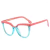 Occhiali da sole Retro Round Plastic Titanium Anti Blue Light Montature per occhiali ottici Donna TR90 Fashion Computer Eyeglasses