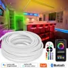 Teken 220V RGB Dimbare Smart Flexibele Tape IP67 LED Neon Strip Licht SMD 5050 Remote Bluetooth Tuya WiFi voice Control HKD230706