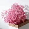 Fiori decorativi 100G Fiori secchi naturali per la respirazione del bambino Gypsophila Piante vere Decorazioni per matrimoni Disposizione per la casa