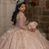 2023 Ball Gown Quinceanera Dresses Bridal Gowns Blush Pink Sparkly Rose Gold Sequined Illusion Corset Hollow Back Sequins Long Sleeves Sweet 16 Dress With Flowers