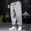 Men's Pants 2023 Winter Jogging Sport Sweatpants Harem Male Elastic Waist Trendy Comfort Casual Trousers Pantalones De Hombre