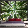 Hapaslar Dome Kameralar Özelleştirilebilir Doğa Sahnesi Bohem Hippi Estetik Odası Oturma Odası Ev Dekoru Gökyüzü Orman Goblen Duvar Asma