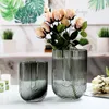 Vases Modern Simple Transparent Glass Vase Ornaments Nordic Living Room Creative Flower Water Culture Dry Arranging Device