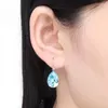 Boucles d'oreilles pendantes à la mode faites avec des cristaux d'Autriche pour la Saint-Valentin Bijoux cadeau goutte d'eau boucles d'oreilles Bijoux
