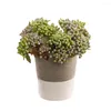 Fleurs décoratives 1 pièces baies artificielles haricot vert mousse petit Floral faux fruits plantes branche décoration de la maison accessoires