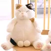 Peluche ripiene Animali Swag Trucco Grandi palle Fiore Gatto Peluche Ripiene Giappone Anime Figura Bambola Pigro Grasso Pancia grande Gatti Plushie Per ragazzo Regalo fidanzato L230707