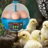 حاضنات Mini 6 Eggs Privator Hatcher Digital Poultry Control Beag Candler for Birds Goose Dick Duck Quail Supplies 230706