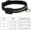 Dog Collars Lighted Rechargeable - Waterproof LED Collar For Night Safety | Pet Light Walking Dogs At Col