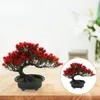 Dekorativa blommor Kaktus Simulering Bonsai Pine Tree Imitation Ornament Material Hushållsdekoration Emulerad