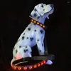 Colliers pour chiens Fournitures Accessoires pour animaux de compagnie Laisse et produits-7 couleurs en 12023