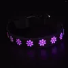 Dog Collars Nylon Adjustable Led And Leashes Rechargeable 8 Color Lights 15 Modes Flashing Collar