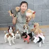 حيوانات أفخم محشوة جودة عالية محاكاة الكلب Toy Chihuahua Bulldog Shar Pei Pet Dog Kids Baby Birthday Pritical Tove Plush Plush Toy L230707
