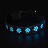 Dog Collars Nylon Adjustable Led And Leashes Rechargeable 8 Color Lights 15 Modes Flashing Collar