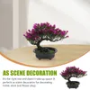 Decorative Flowers Cactus Simulation Bonsai Pine Tree Imitation Ornament Material Household Decoration Emulated