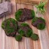 Flores decorativas 6 pçs Espuma Moss Stone Prop DIY Planta Artificial Jardim Decoração Mini Casa Simulação Loja Janela Escritório Casamento Paisagem