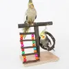 Étagère de support de jeu d'oiseau de table de terrain de jeu de cage à oiseaux en bois naturel avec des accessoires de Cage de pont de balançoire/bol pour les petits oiseaux