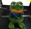 Mjuka plyschdjur 45 cm Sorgliga groda Plyschleksak Mjuk stoppkudde Magic Expression Pepe The Sad Frog Animal Plyschdocka Födelsedagspresenter till barn L230707