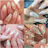 Nail Glitter Art Ab Chameleon Kleur Pailletten Vlokken Uv Gel Polish Ster Hart Bloem Paillette Decoraties Chab01-15-1 Drop Delivery H Dhrsq