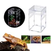 Reptile Supplies Transparent Acrntis Boîte D'élevage Cage À Insectes Terrarium Alimentation ylic Ma 230706