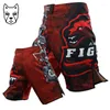 Shorts pour hommes MMA combat pantalons de sport entraînement de combat complet plage Fitness Jiu Jitsu course musculaire Muay Thai