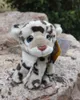 Pluszowe zwierzęta 18cm realistyczne Snow Leopard nadziewane zabawki wielkie oczy Leopard pluszowe zabawki symulacja słodkie dzikie zwierzęta pluszowe zabawki prezenty dla dzieci L230707