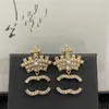 Klassiker Örhängen Designer Stud C Earing Lyx Charm Kvinnor Ccity Heart Diamant pärla Örhänge smycken Womam 4156