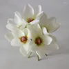 Fiori decorativi 5 pz/lotto Magnolia Bouquet di Fiori Artificiali Per La Decorazione Domestica di Nozze Pography Puntelli Falso
