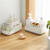 Boîtes de rangement Double couche boîte à cosmétiques tiroirs de bureau organisateurs de maquillage durables anti-poussière organisateur de cosmétiques étui divers