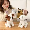 Animaux en peluche en peluche 20 cm réaliste Jack Russell Terrier Dalmatiens en peluche jouet mignon berger allemand chien Husky poupée décoration de la maison jouets pour animaux de compagnie L230707